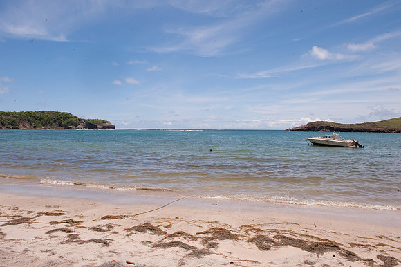 BillMortley_04222010_St. Lucia_  BMP-8600