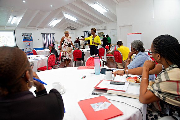Bill Mortley Photography_FSSP Caribbean- Proposal Writing_April 25th, 2024_BMP-9057