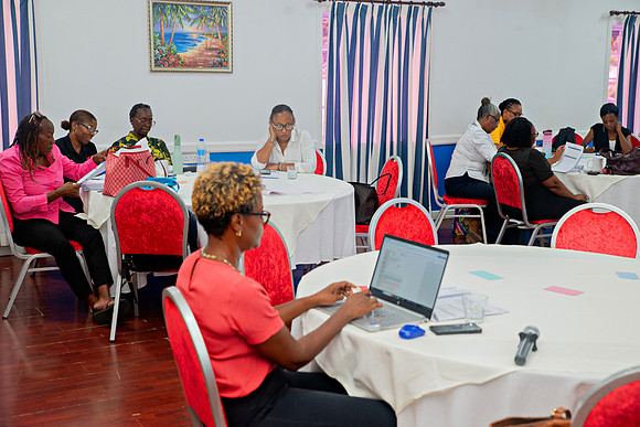 Bill Mortley Photography_FSSP Caribbean- Proposal Writing- Day 2_April 26th, 2024_BMP-9201