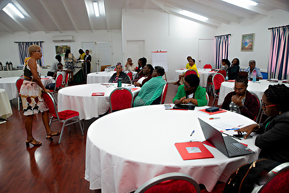 Bill Mortley Photography_FSSP Caribbean- Proposal Writing_April 25th, 2024_BMP-9043