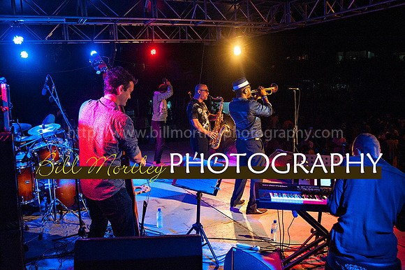 Bill Mortley_Jazz in the South_May 4th, 2014-8679
