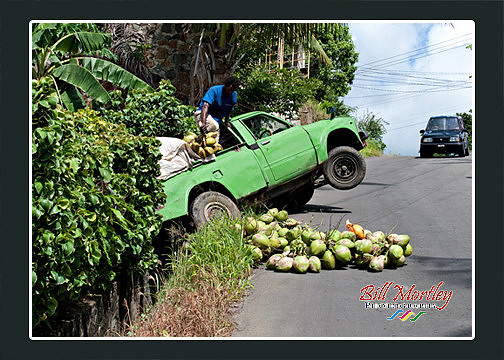 BillMortley_05012010_St. Lucia_  BMP-8939