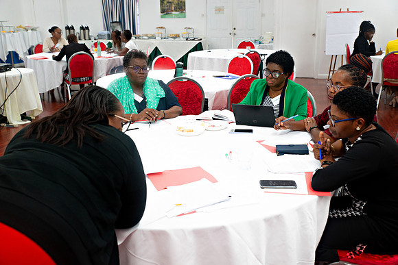 Bill Mortley Photography_FSSP Caribbean- Proposal Writing_April 25th, 2024_BMP-9106