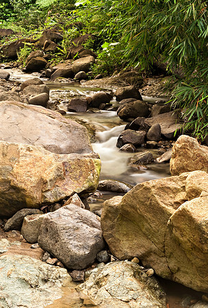 Bill Mortley_ St. Lucia _ October 26th, 2012-1080