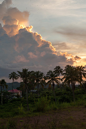 Bill Mortley_St. Lucia - September 18th, 2012_-7173