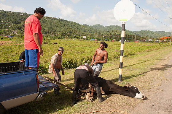 Bill Mortley_St. Lucia - June 29th, 2012_BMP-9522