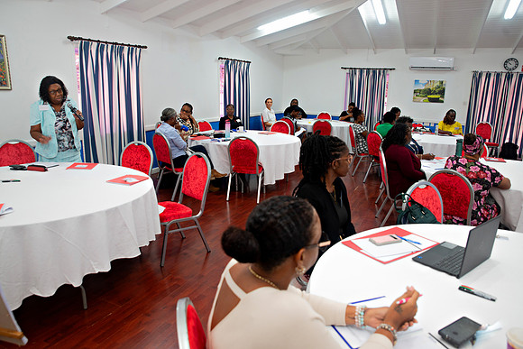 Bill Mortley Photography_FSSP Caribbean- Proposal Writing_April 25th, 2024_BMP-8969