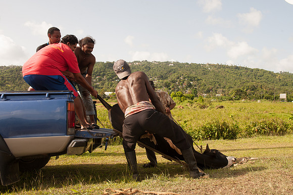 Bill Mortley_St. Lucia - June 29th, 2012_BMP-9527