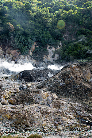 Bill Mortley Photography - Our St Lucia Magazine - APRIL 3 rd_BMP-2433