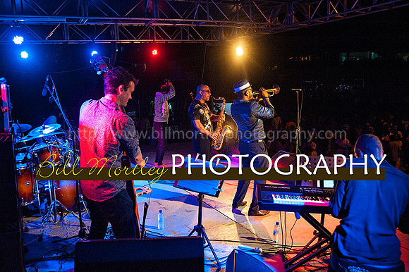 Bill Mortley_Jazz in the South_May 4th, 2014-8680